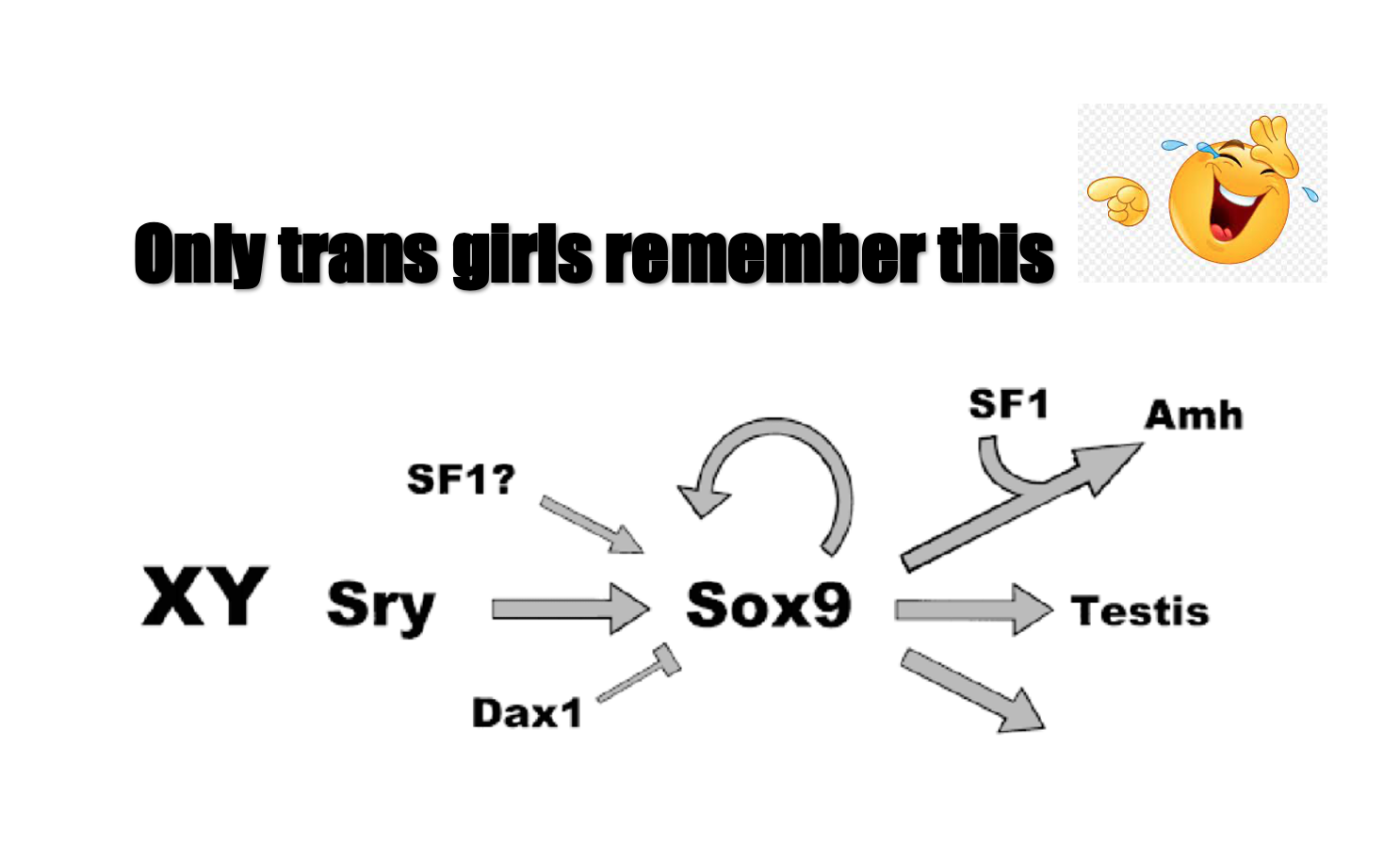 10.png