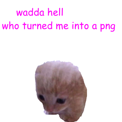 1000000083.png