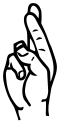 1000002160.webp