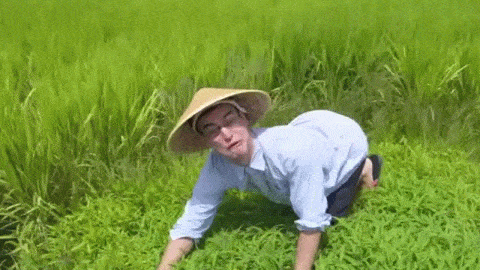 1000004487.gif