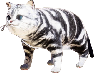 1000009908.png