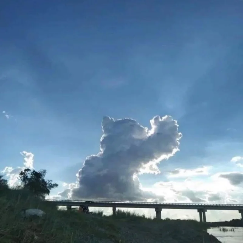 1000011604.webp