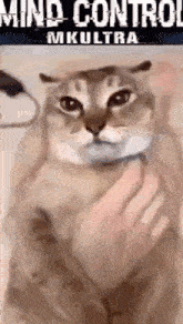 1000016082.gif