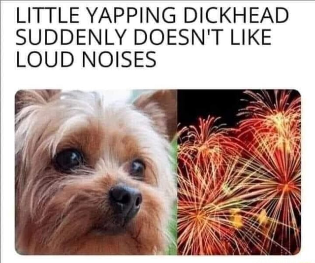 1000016765.jpg