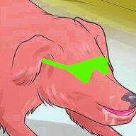 100169.jpg