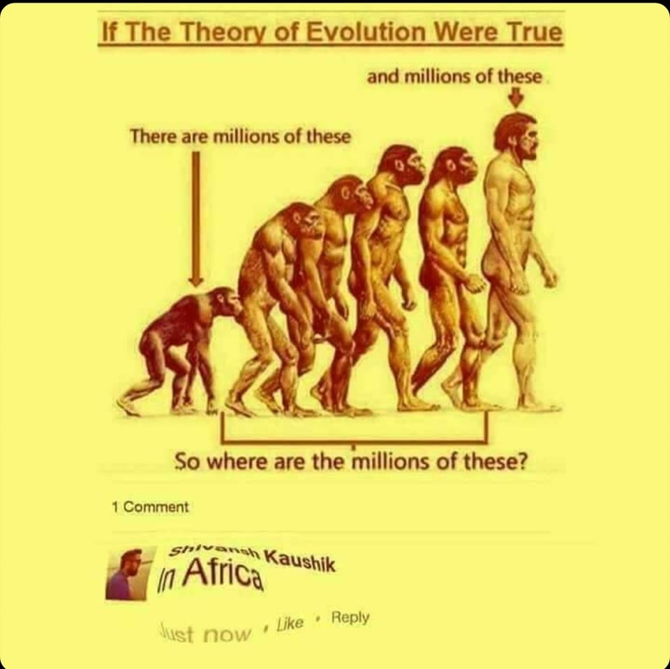 1025.jpg