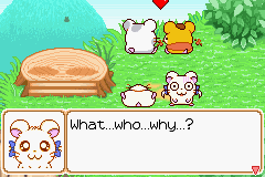 113.PNG