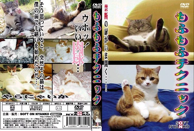 1160171742931.webp