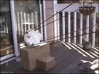 1350065312396.gif