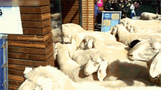 1383686995162.gif