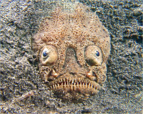 139407.png