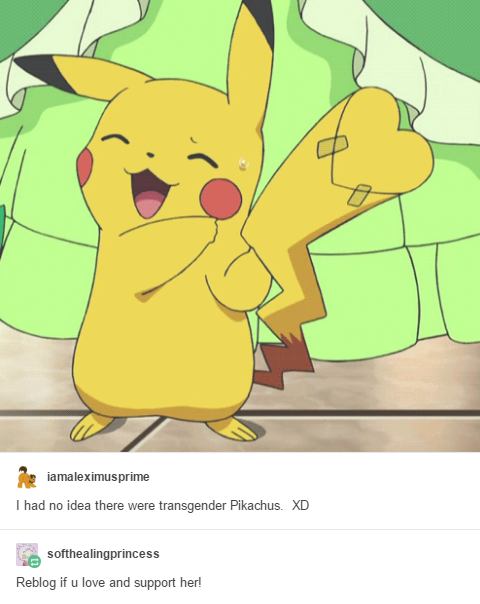 14.png
