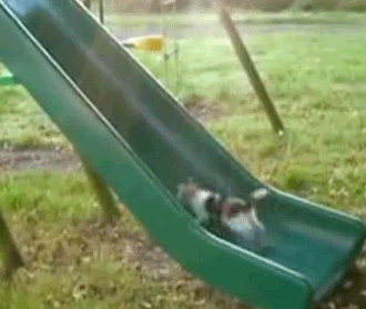 1422144928896.gif