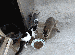 1422791876736.gif