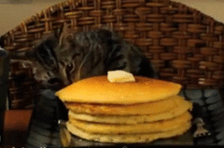 1422794446710.gif