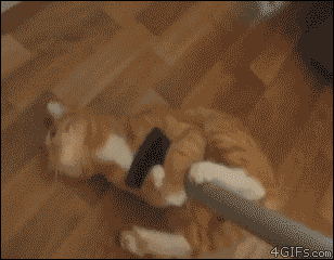 1423675832239.gif