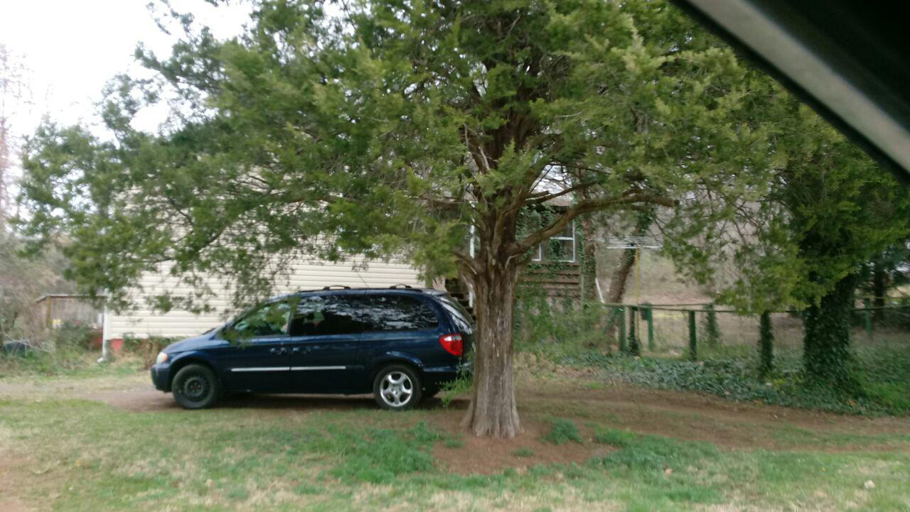 14branch3.jpg