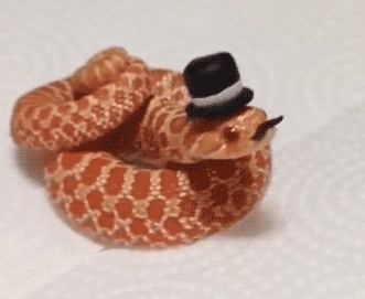 1501947817973.gif