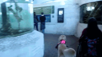 1517873564807.gif