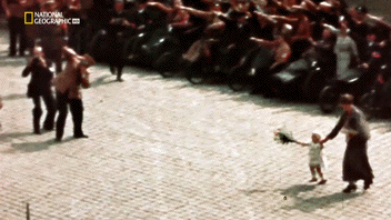 1533484443806.gif