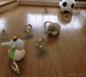 1546799085671.gif