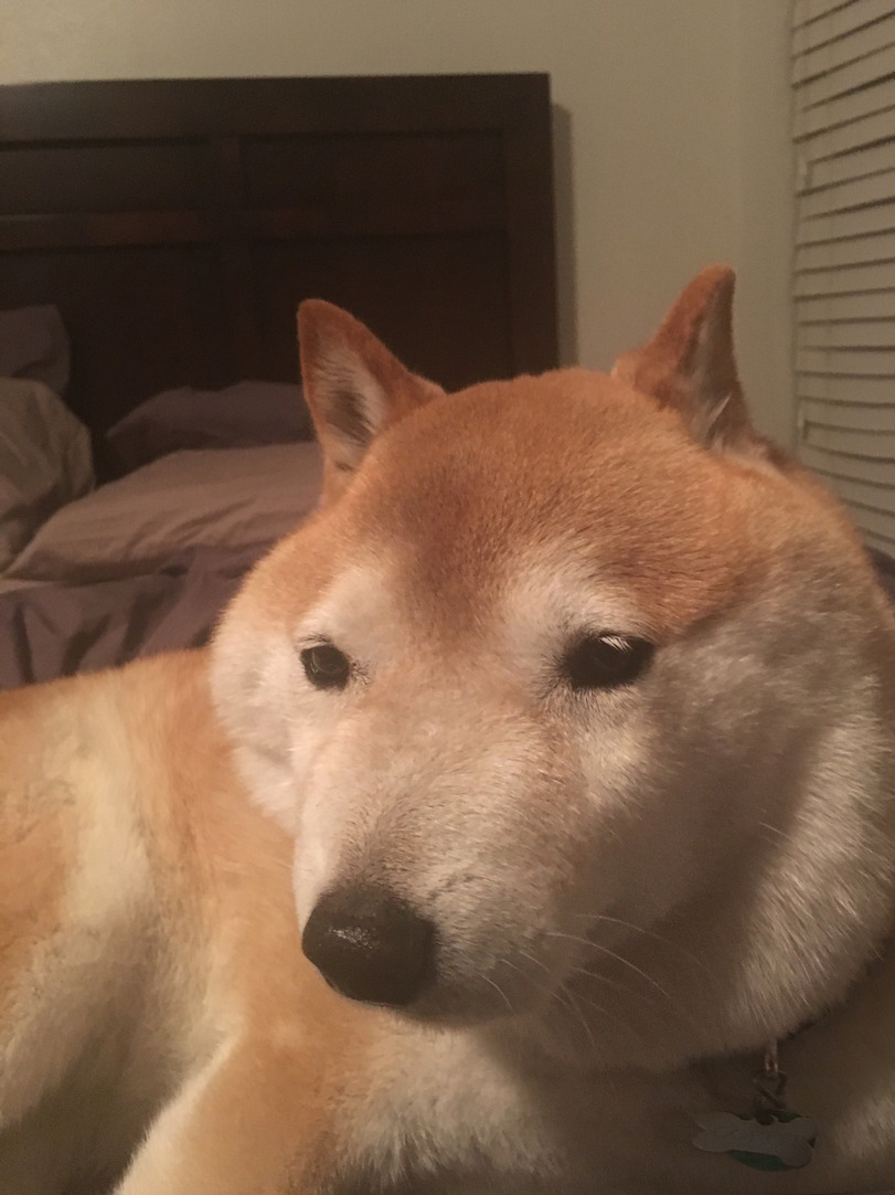 761358