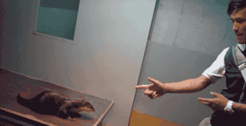 1562592064481.gif