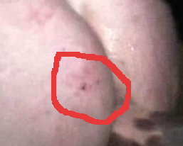 1564461276476.png