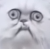 1571503718176.png