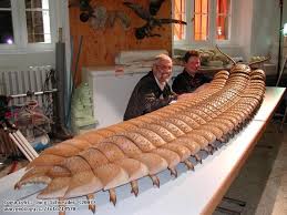 Image result for carboniferous millipede