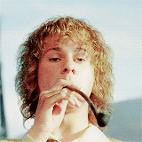 1576009936795.gif