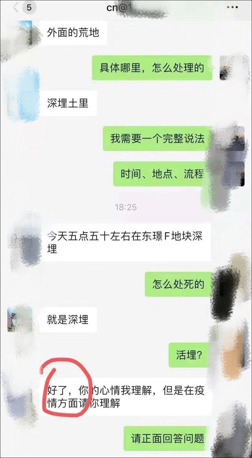 1580995167751.jpeg