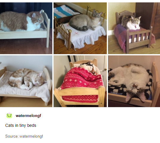 1582322058554.png