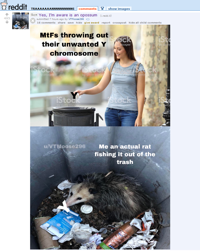 1582801889866.png