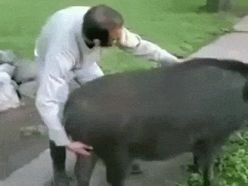 1586533044979.gif