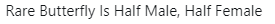 1587582913653.png