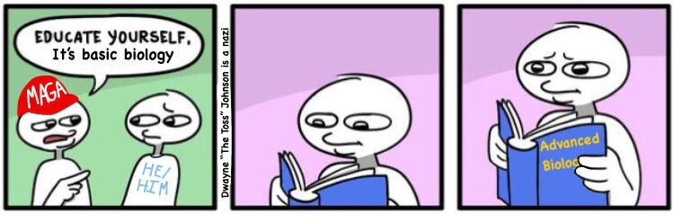 1589840952784.png