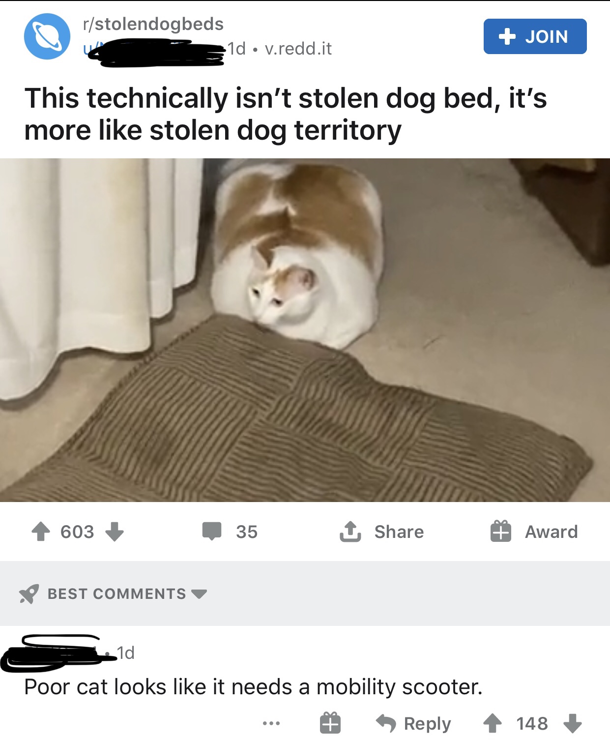 1589929904730.jpg