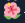 1590172695934.png