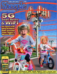 1591242226385.png