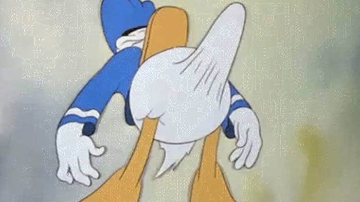 1591688373103.jpeg
