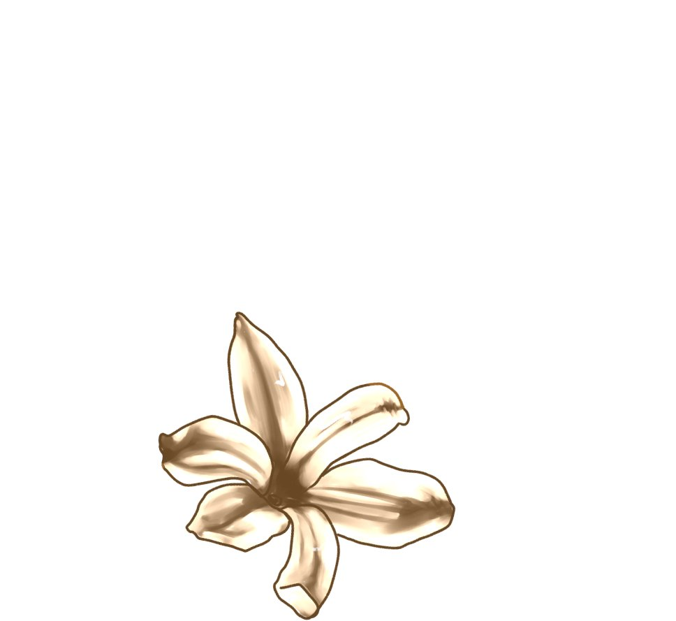 1594097066394.png