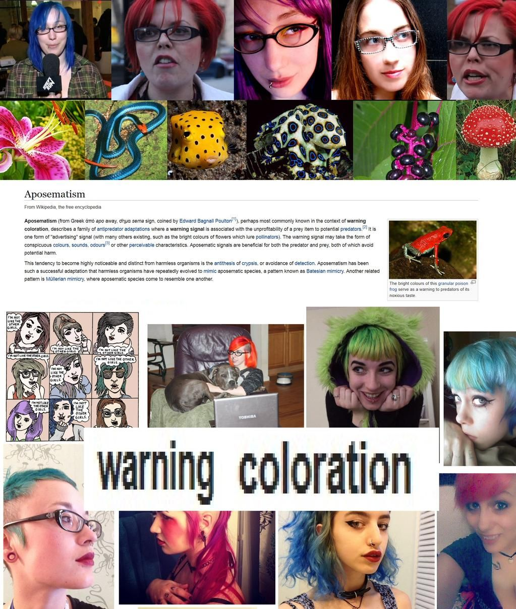 1595537071871.png
