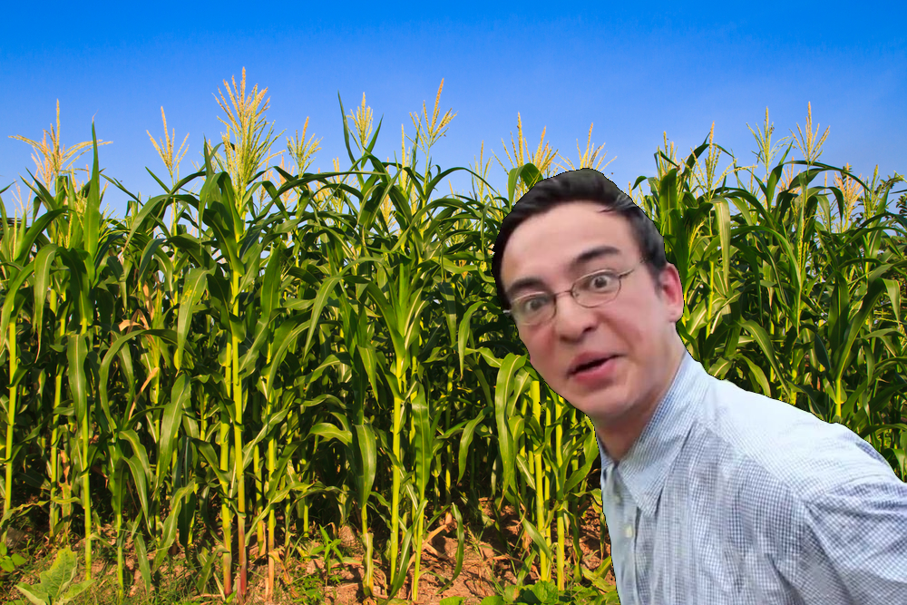 1595963498100.png