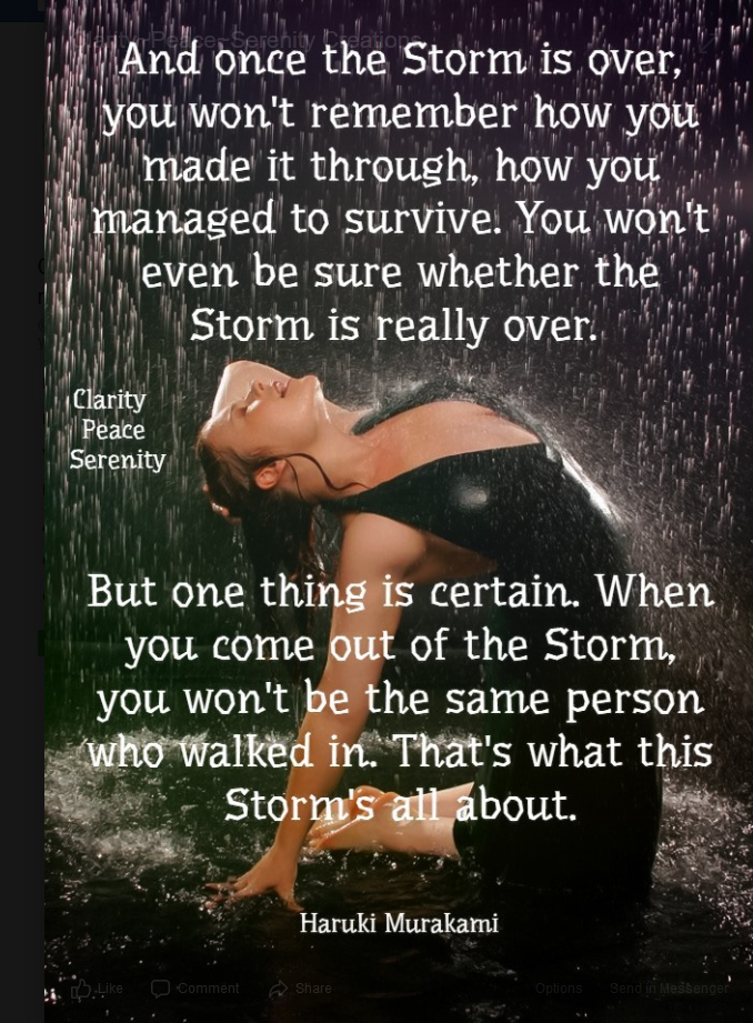 1596854411433.png