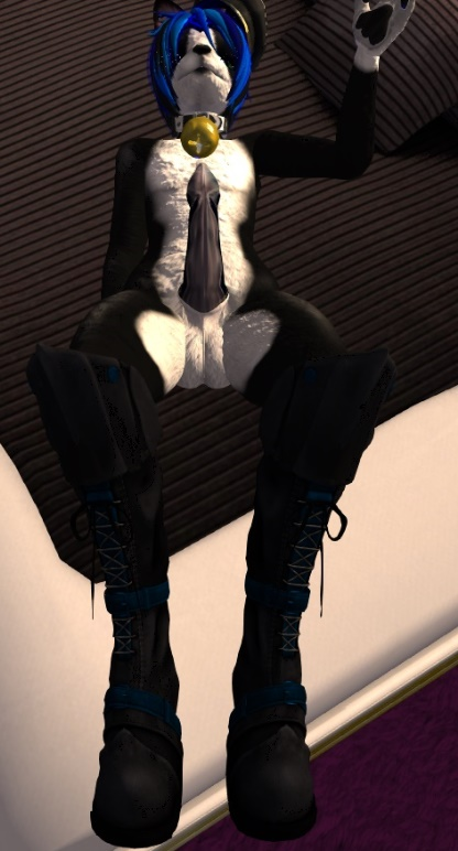 1597516215557.png