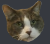 1597988801082.png