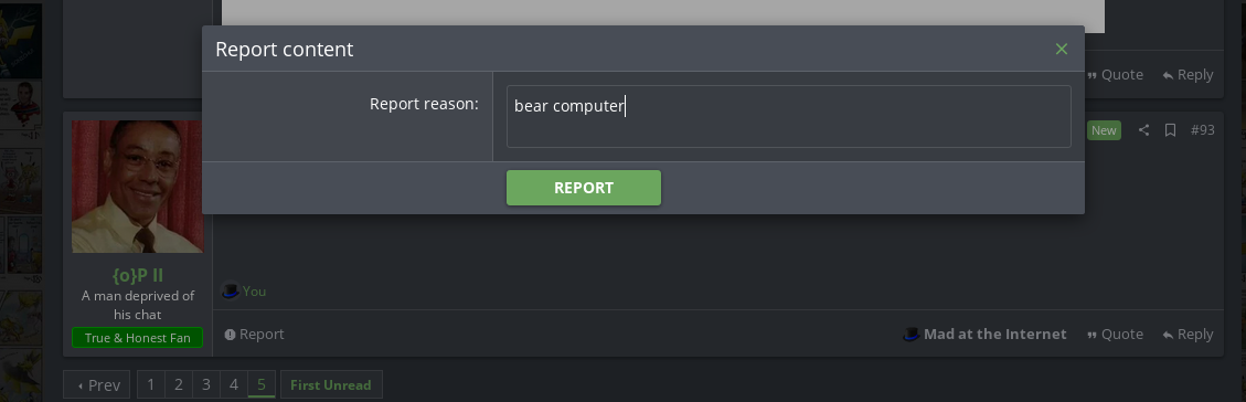 bear computer