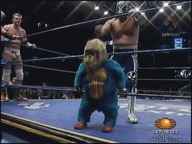 1600950740958.gif