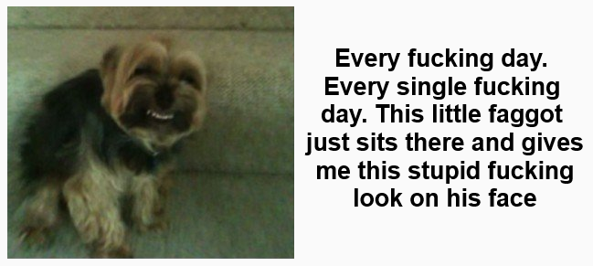 1603419909353.png